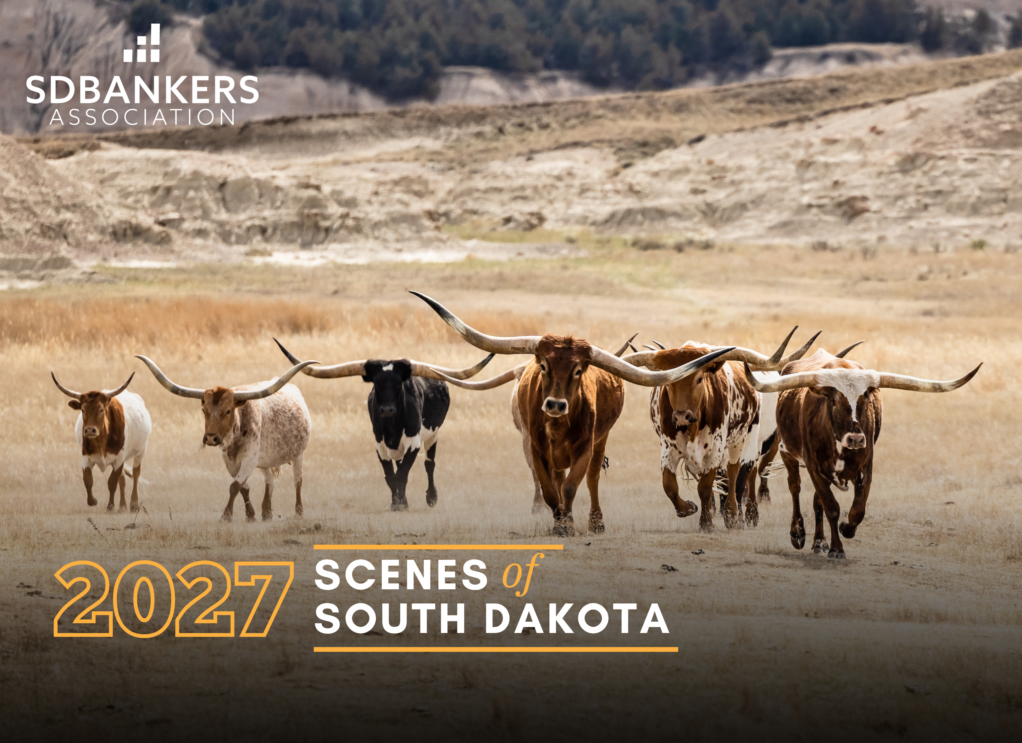 2027 Scenes of South Dakota Calendar