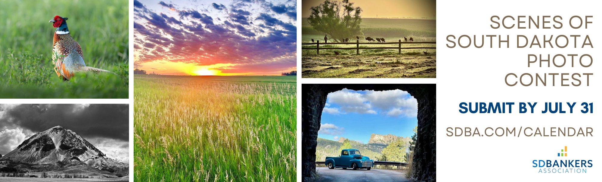 photo contest