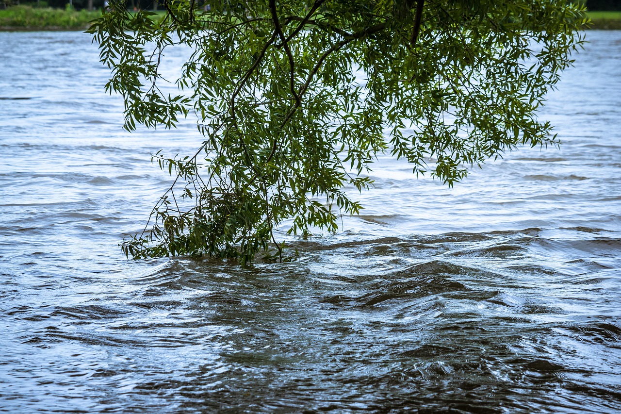 Flood